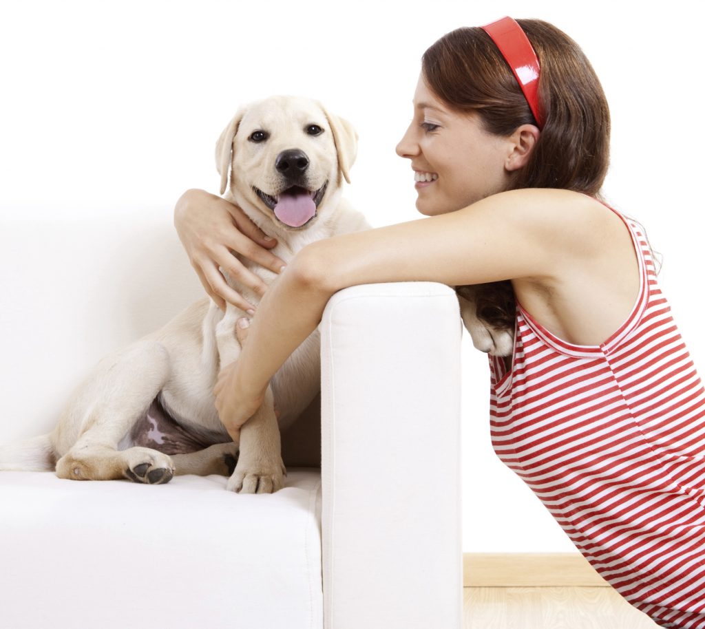 Pet Care On His First Day At Home