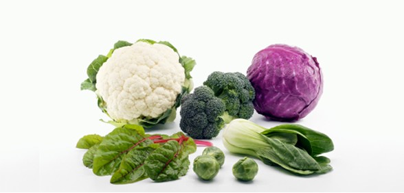 10 Best Foods To Improve Memory and Brain Power3