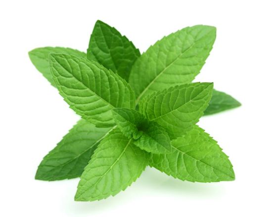 10 Best Foods To Improve Memory and Brain Power6