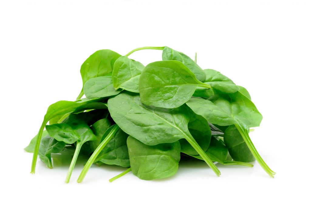 5 Water Supplement Foods You Should Know4