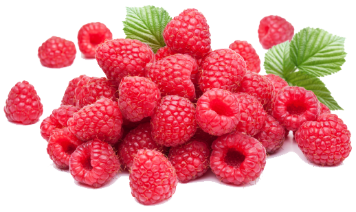 10 Fat-Burning Foods That Help You Loss Weight7