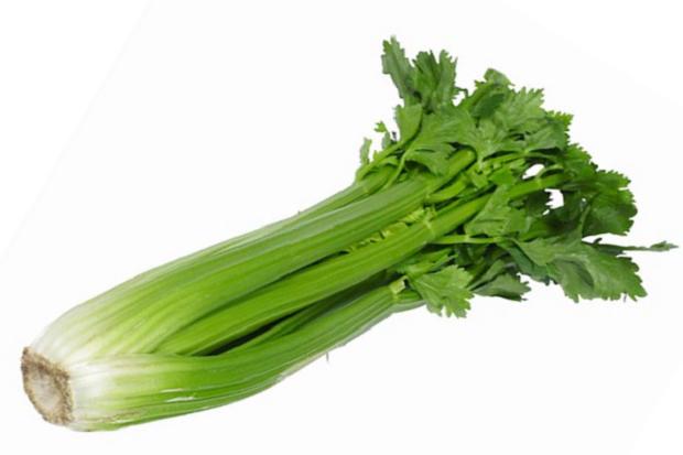 8 Foods That Help Fight Stress1