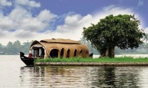 Top 4 Unforgettable Moments With Kerala Backwaters