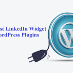 LinkedIn Widget WordPress Plugins