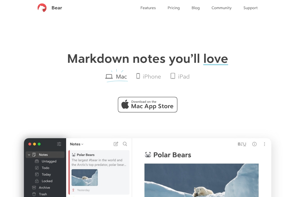 Bear notes app homepage