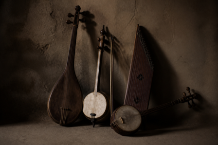 Traditional stringed musical instruments resting in shadow against a plain wall